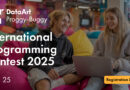 Proggy-Buggy Programming Towel Contest 2025